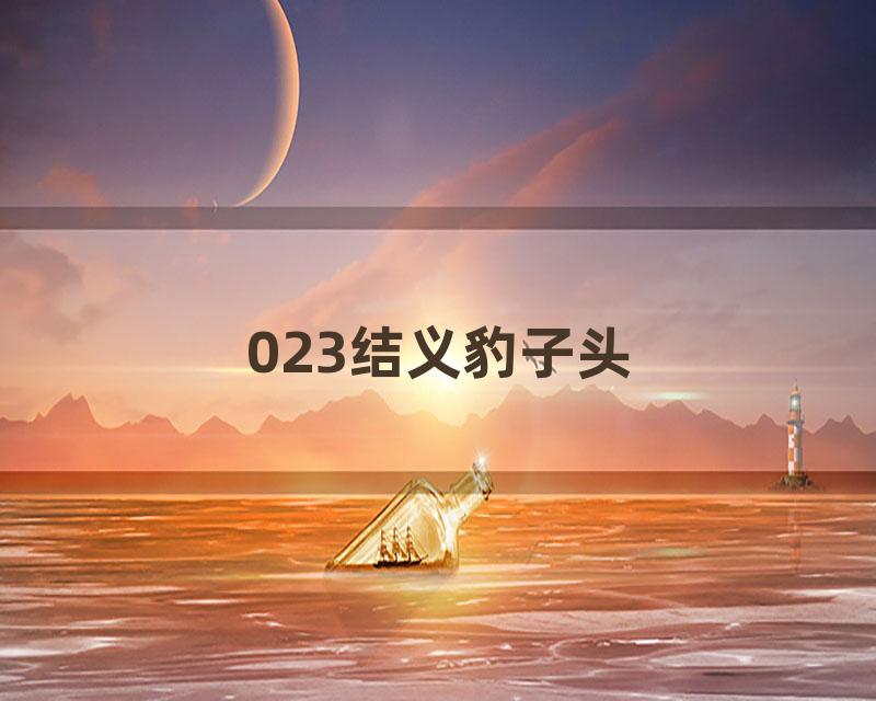 023结义豹子头