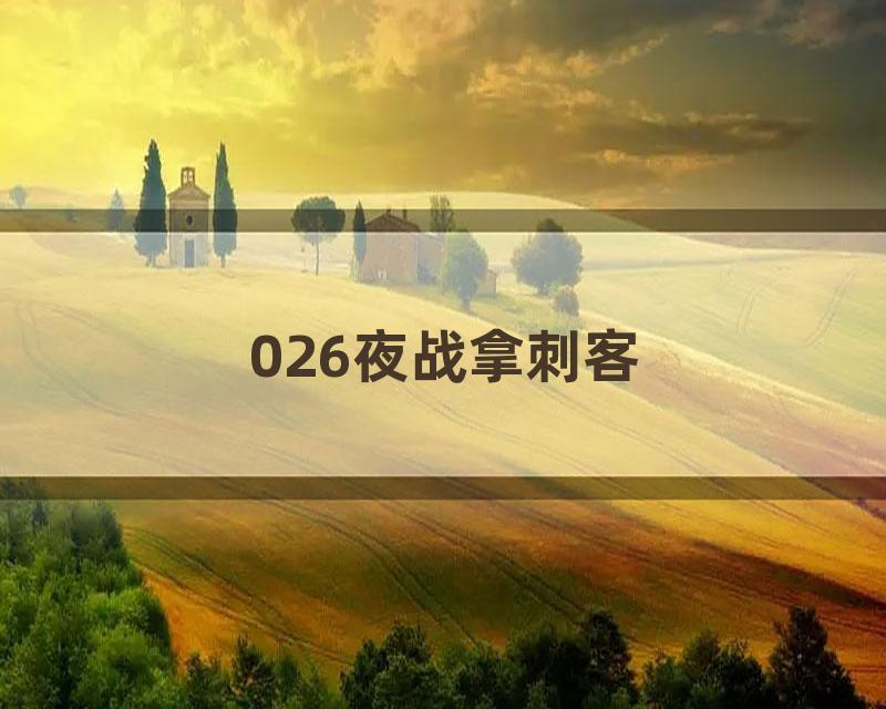 026夜战拿刺客