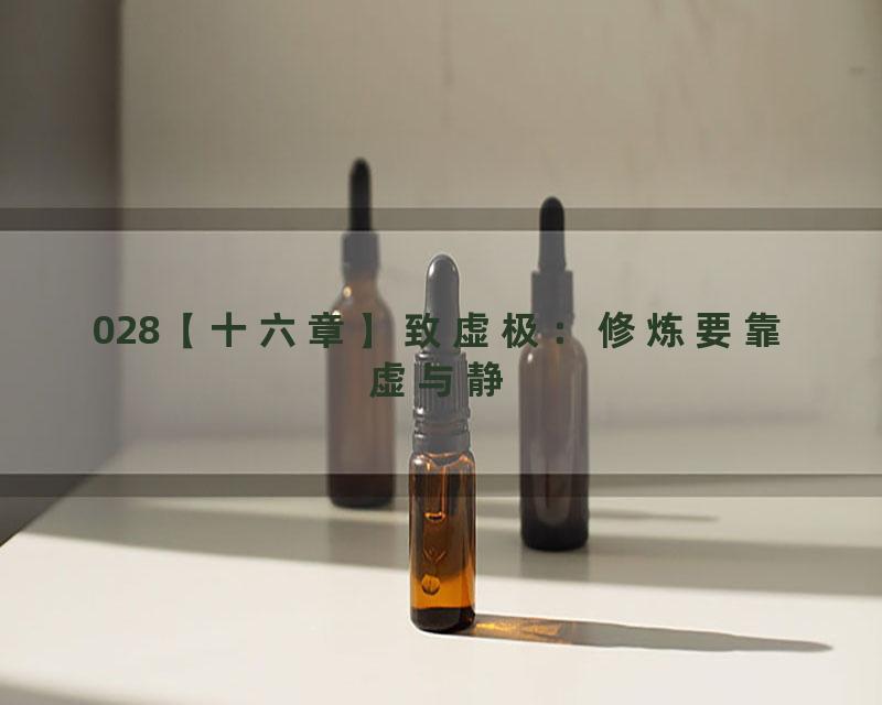 028【十六章】致虚极：修炼要靠虚与静