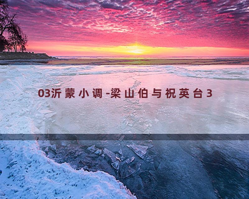 03沂蒙小调-梁山伯与祝英台3