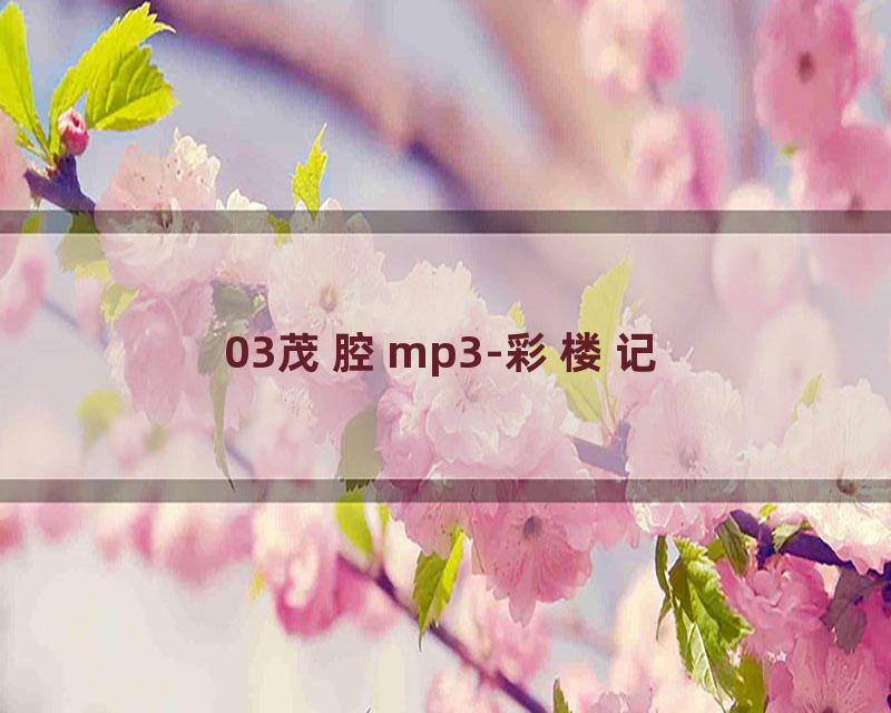 03茂腔mp3-彩楼记