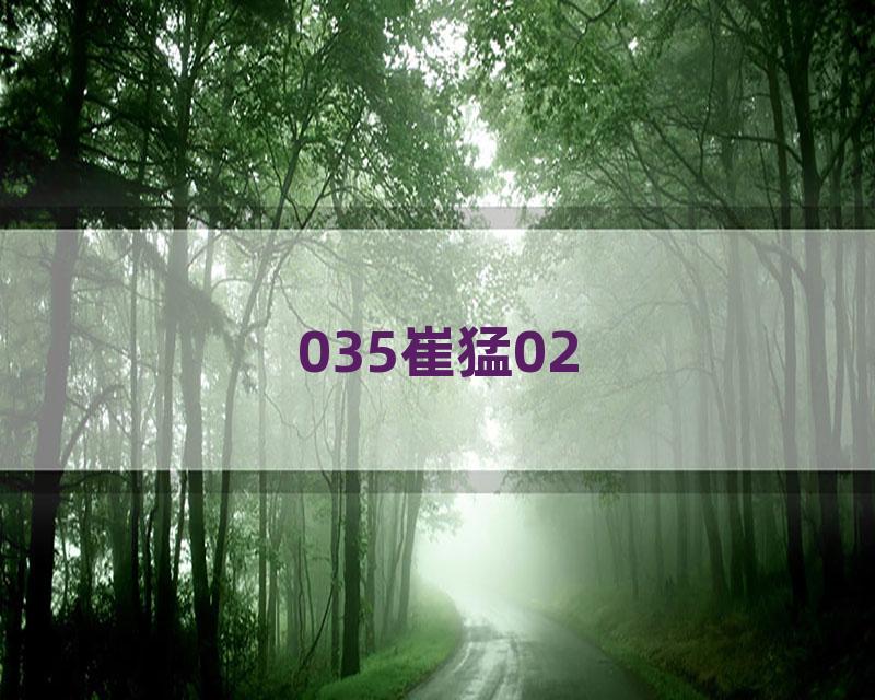 035崔猛02