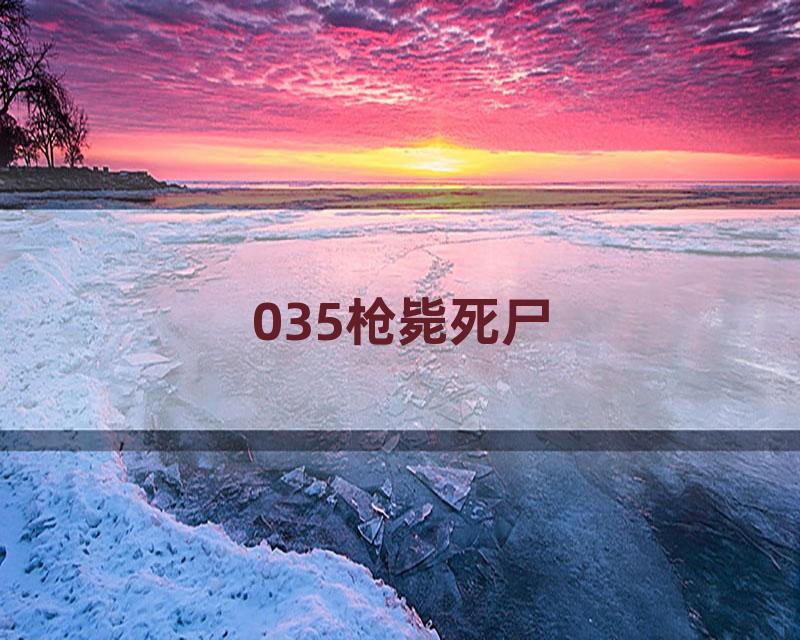 035枪毙死尸