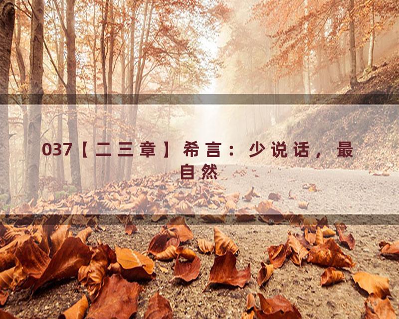 037【二三章】希言：少说话，最自然