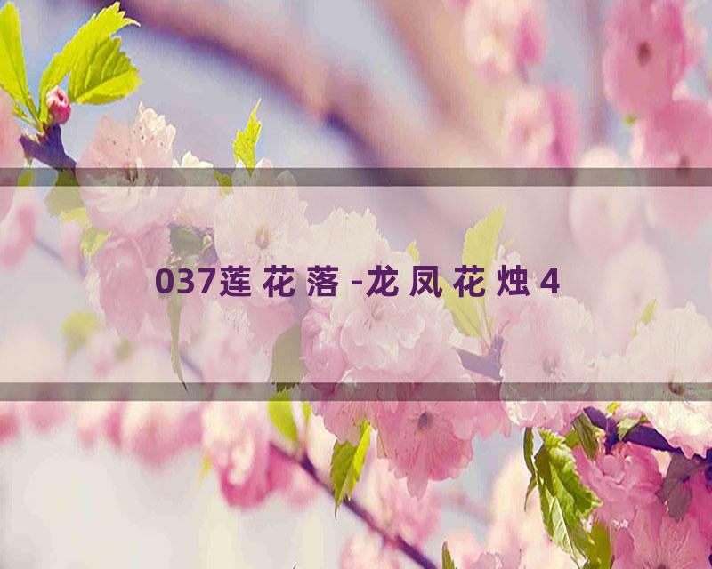 037莲花落-龙凤花烛4