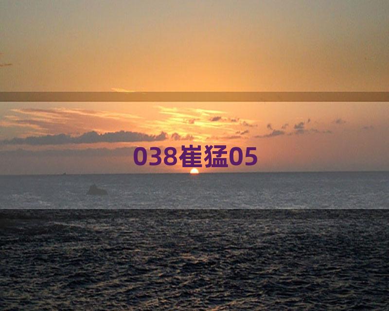 038崔猛05