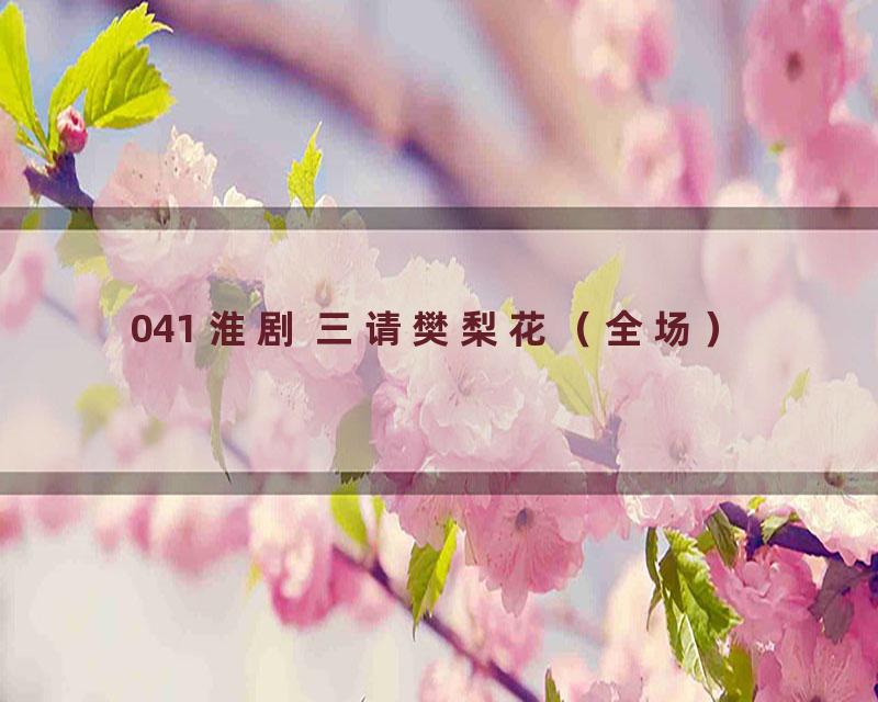 041 淮剧 三请樊梨花（全场）