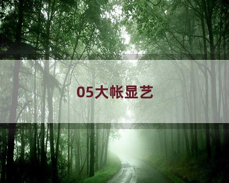 05大帐显艺