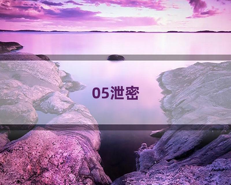 05泄密