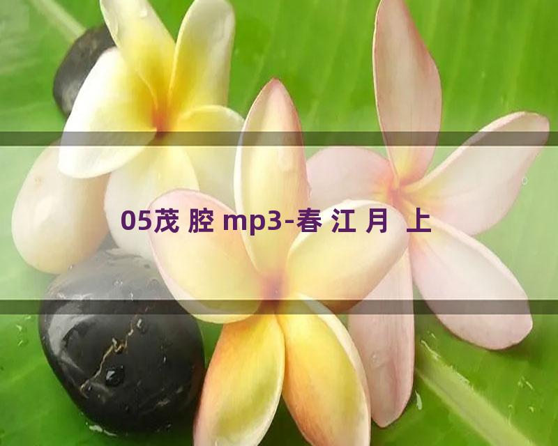 05茂腔mp3-春江月 上