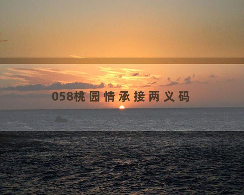 058桃园情承接两义码