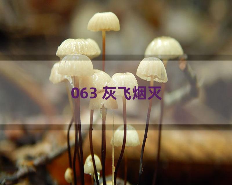 063 灰飞烟灭