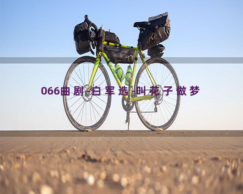 066曲剧-白军选-叫花子做梦