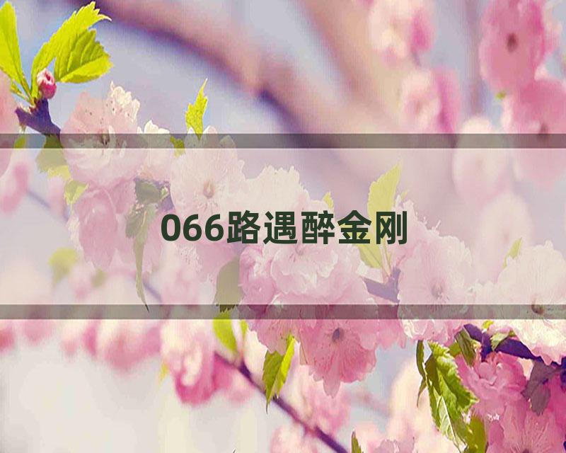 066路遇醉金刚