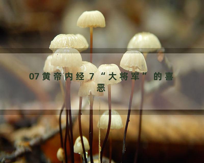 07 黄帝内经 7 “大将军”的喜恶