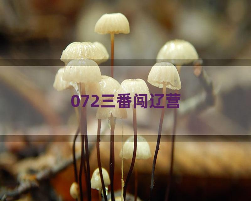 072三番闯辽营