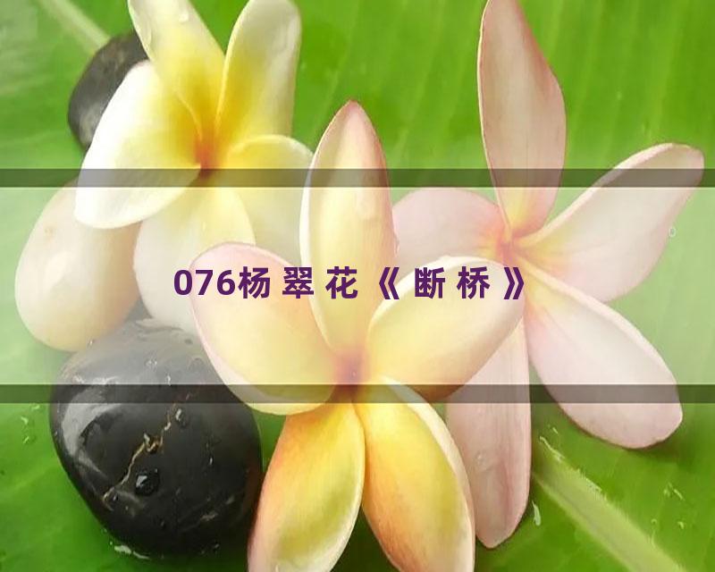 076杨翠花《断桥》