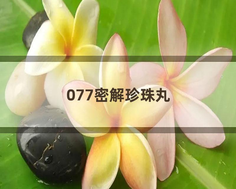 077密解珍珠丸