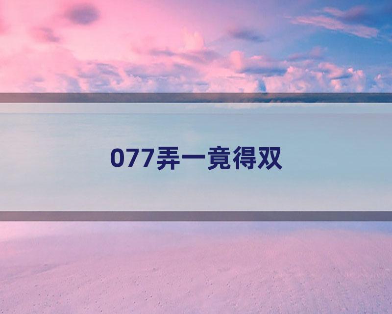 077弄一竟得双