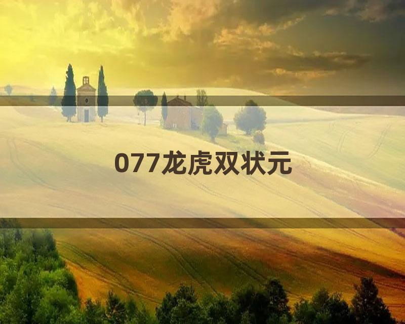 077龙虎双状元