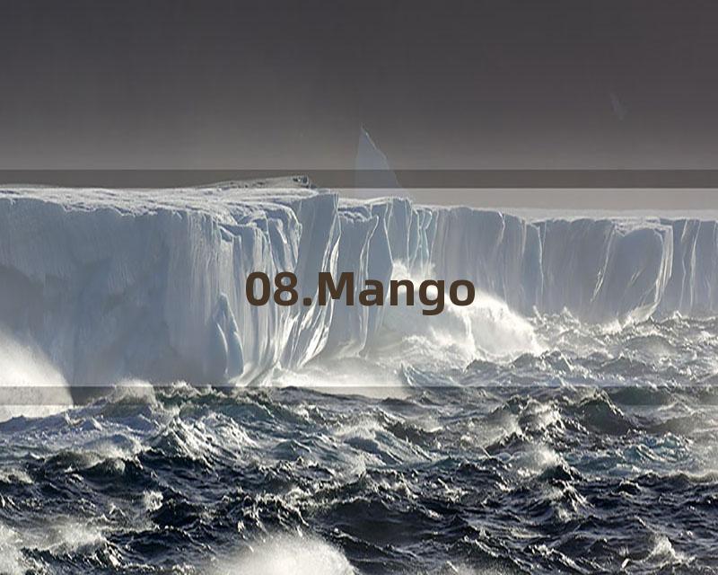 08.Mango