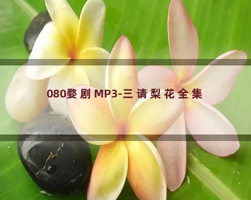 080婺剧MP3-三请梨花全集