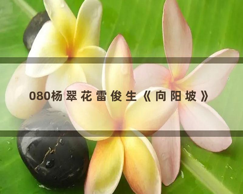 080杨翠花雷俊生《向阳坡》