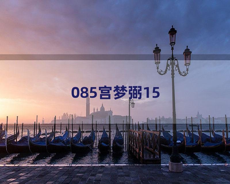 085宫梦弼15