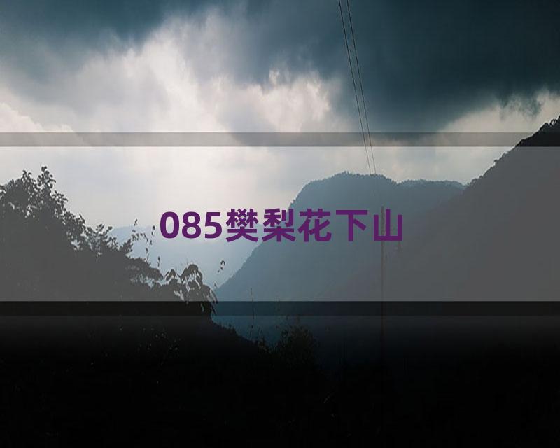 085樊梨花下山