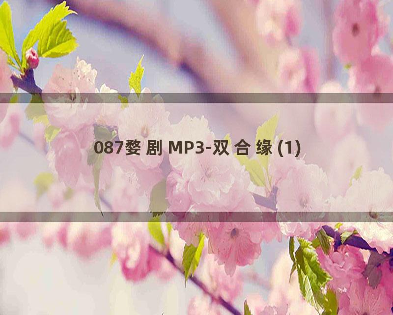 087婺剧MP3-双合缘(1)