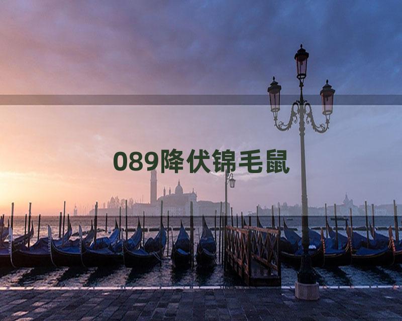 089降伏锦毛鼠