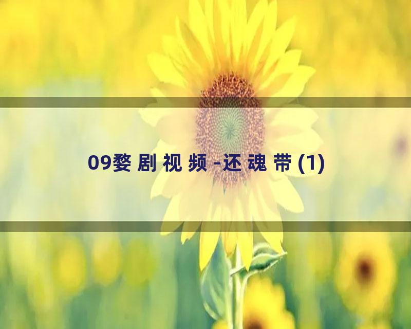 09婺剧视频-还魂带(1)