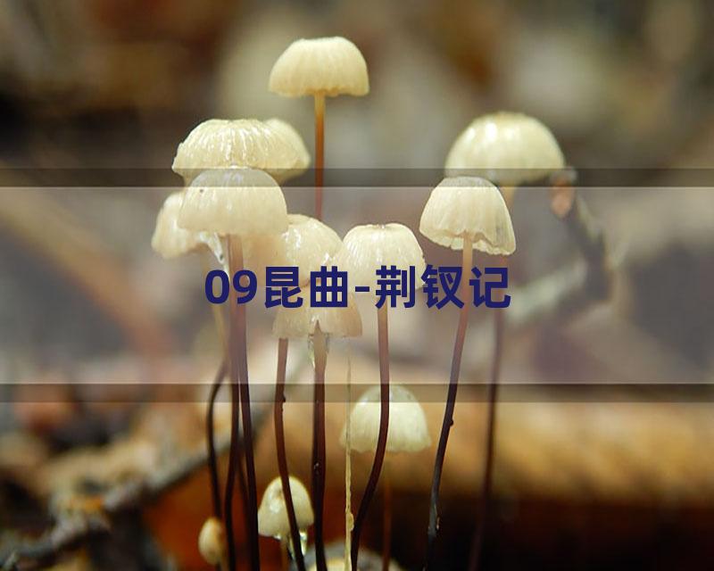 09昆曲-荆钗记