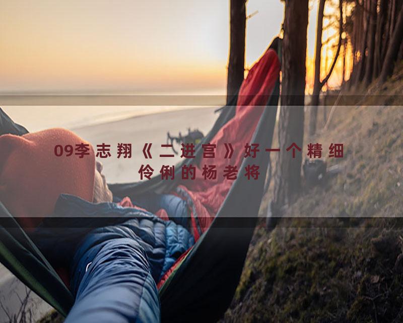 09李志翔《二进宫》好一个精细伶俐的杨老将