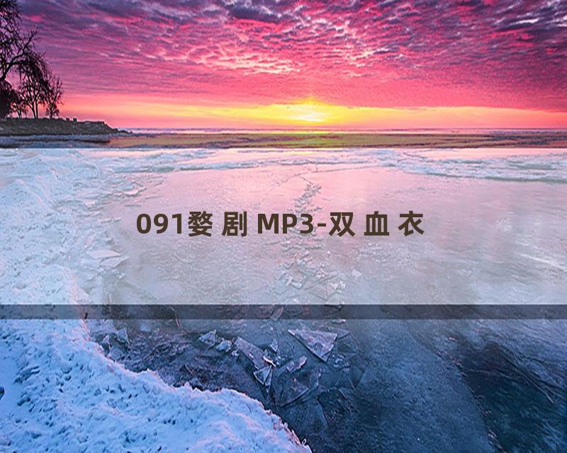 091婺剧MP3-双血衣