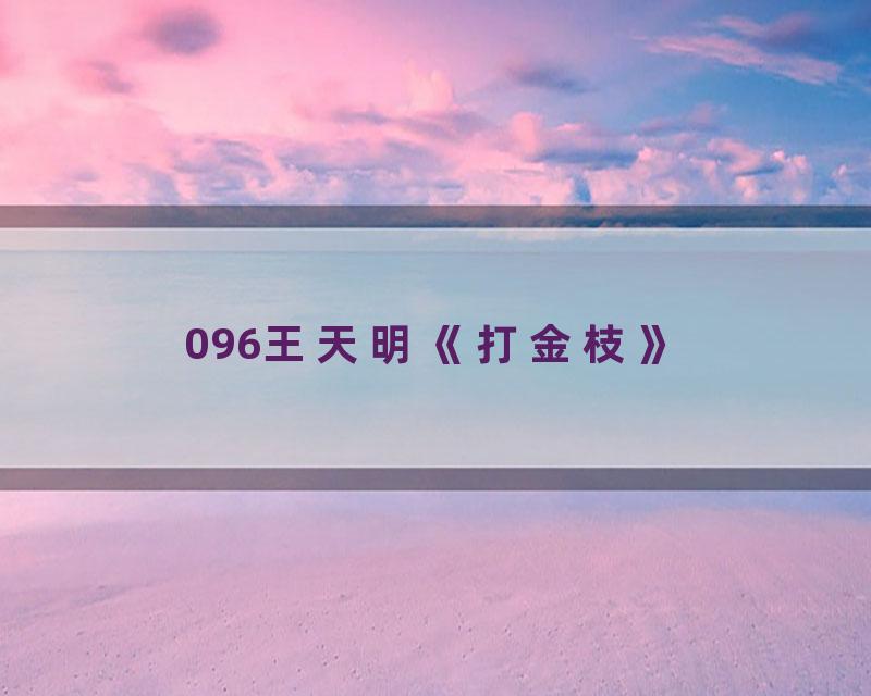 096王天明《打金枝》