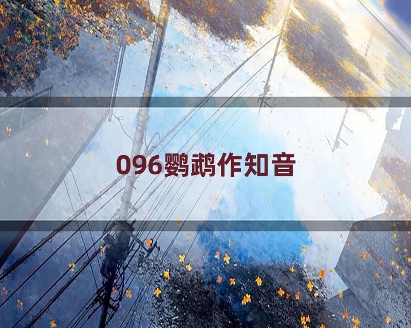 096鹦鹉作知音