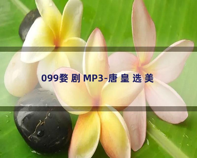 099婺剧MP3-唐皇选美