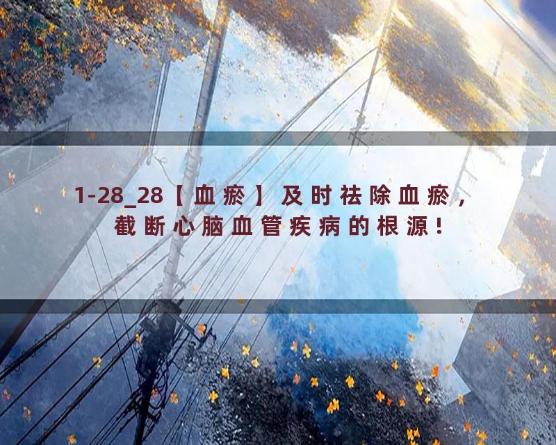 1-28_28【血瘀】及时祛除血瘀，截断心脑血管疾病的根源!