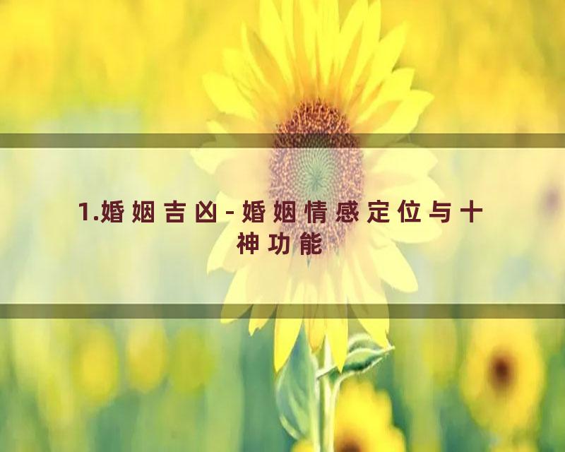 1.婚姻吉凶- 婚姻情感定位与十神功能