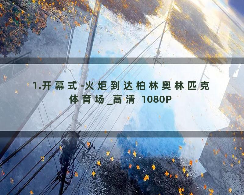 1.开幕式-火炬到达柏林奥林匹克体育场_高清 1080P