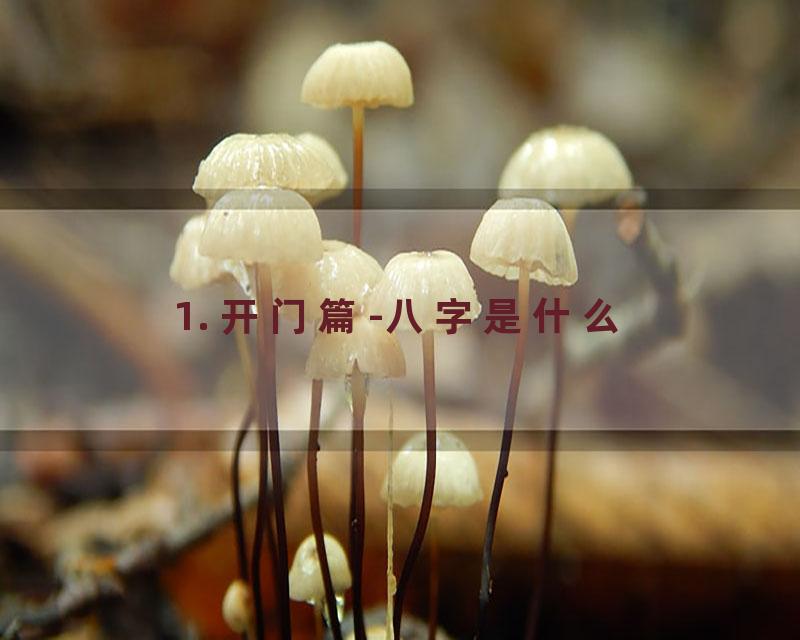 1. 开门篇-八字是什么