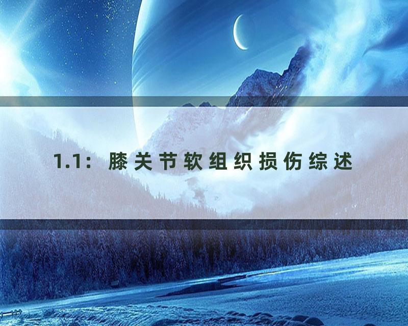 1.1：膝关节软组织损伤综述