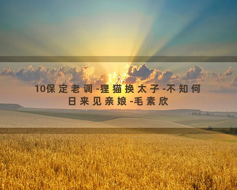 10保定老调-狸猫换太子-不知何日来见亲娘-毛素欣