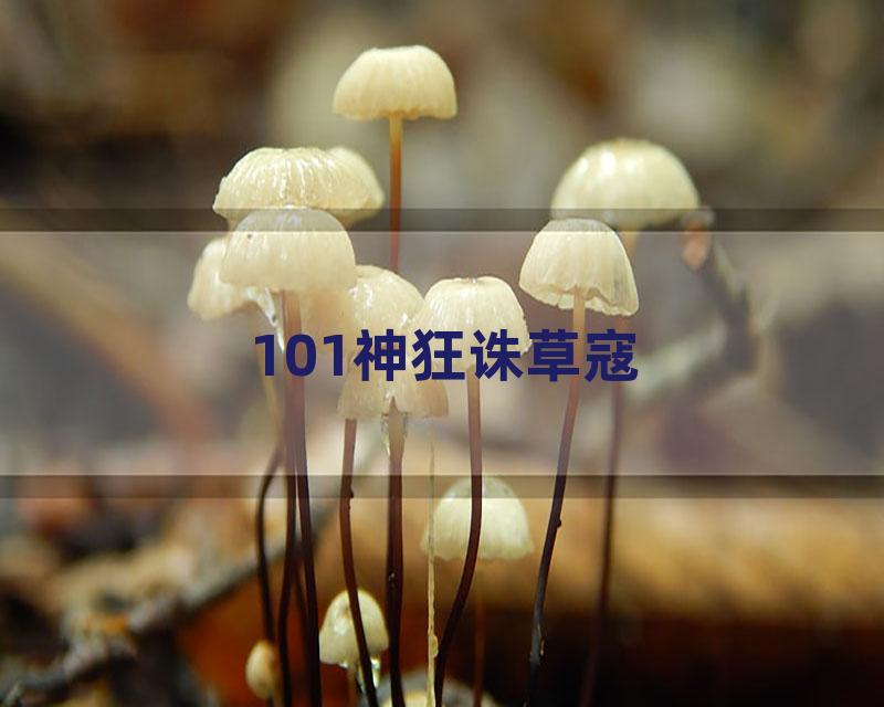 101神狂诛草寇