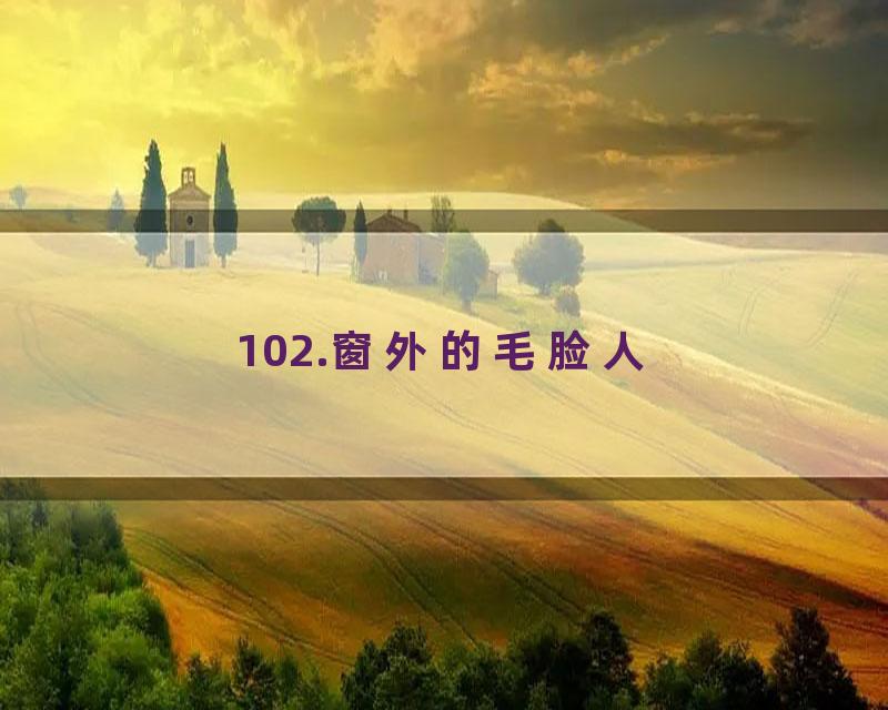 102.窗外的毛脸人