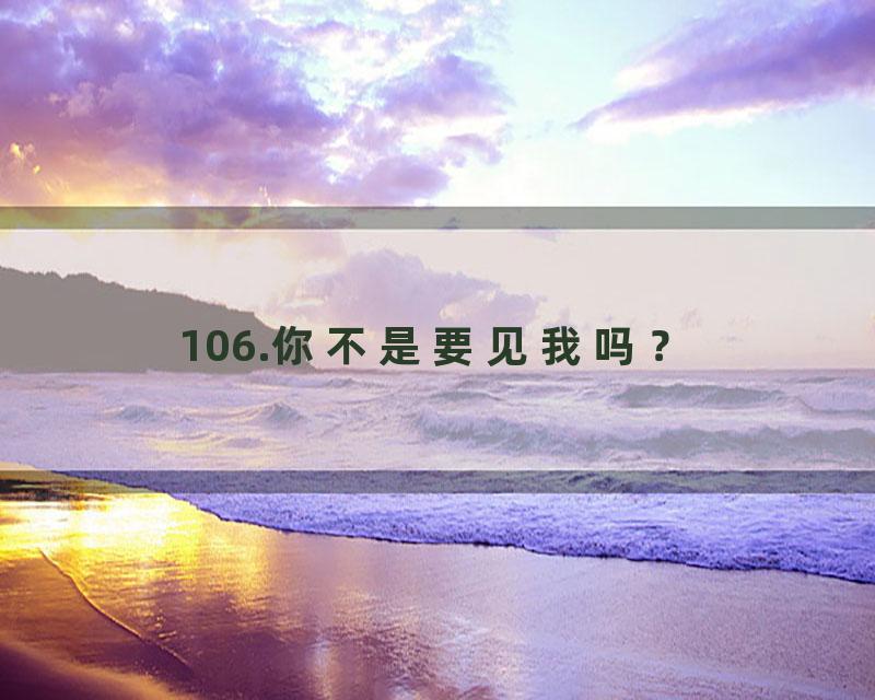 106.你不是要见我吗？