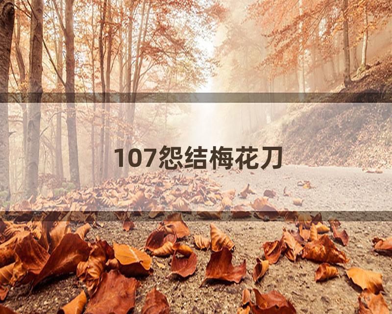 107怨结梅花刀