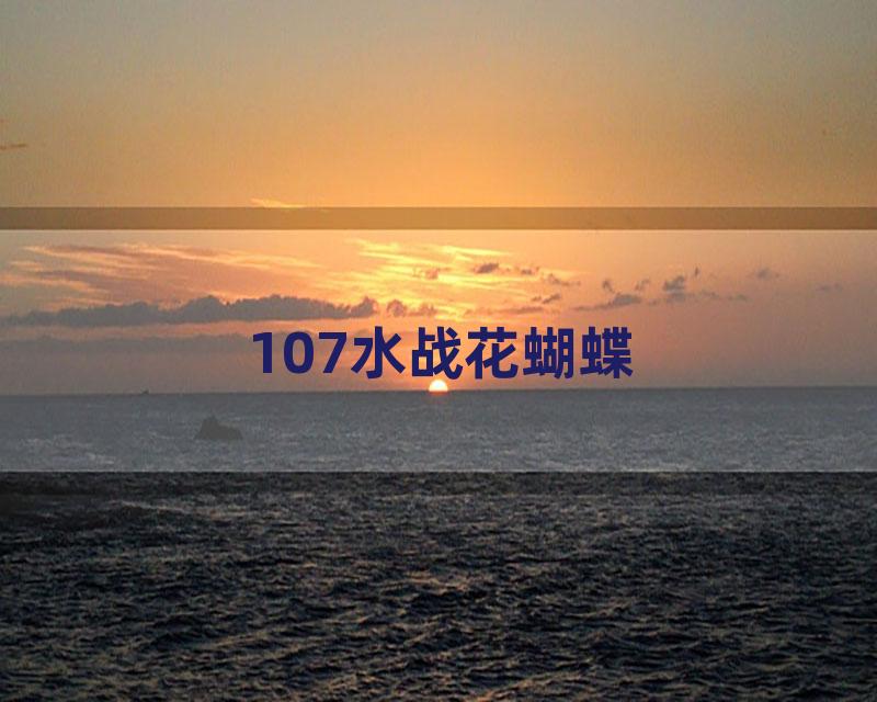 107水战花蝴蝶