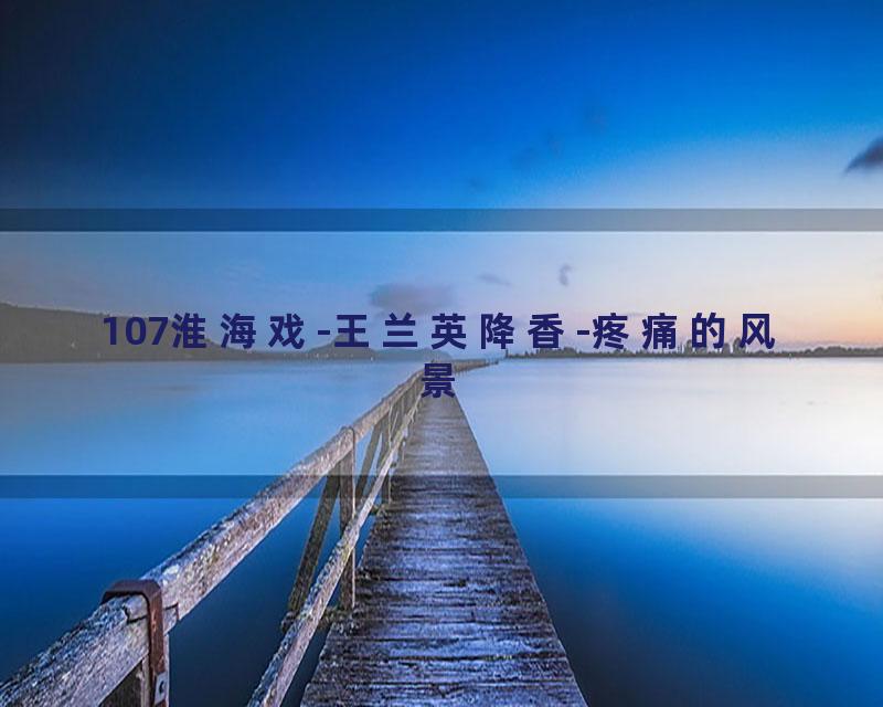 107淮海戏-王兰英降香-疼痛的风景